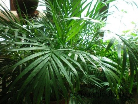 외삼춘 tweet media