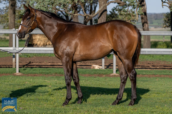 breednet's tweet photo. 325k MM purchase , Panova wins the G1 Australasian Oaks for B2B Thoroughbreds, second G1 winner for Widden Stud's Trapeze Artist https://t.co/JThyWel23r  @mmsnippets @KenmoreLodge @widdenstud @cwallerracing @B2BThoroughbred https://t.co/mhZRtfmqli