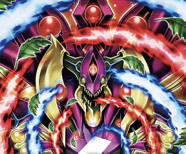 The Organization tweet media