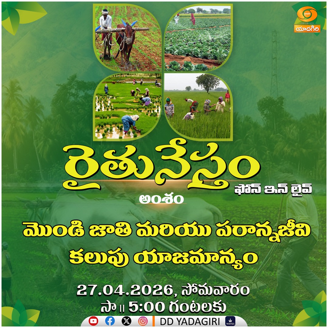 DDYadagiri's tweet image. నేటి "రైతునేస్తం" ఫోన్ ఇన్ లైవ్  కార్యక్రమంలో 

అంశం :  మొండి జాతి మరియు పరాన్నజీవి కలుపు యాజమాన్యం....

🗓️ఈరోజు సాయంత్రం 05:00 గంటలకు @DDYadagiri 

Watch Here  👇📺🔴
youtube.com/live/-eQXCS1lS…

#Agriculture #Farmers #Agritech