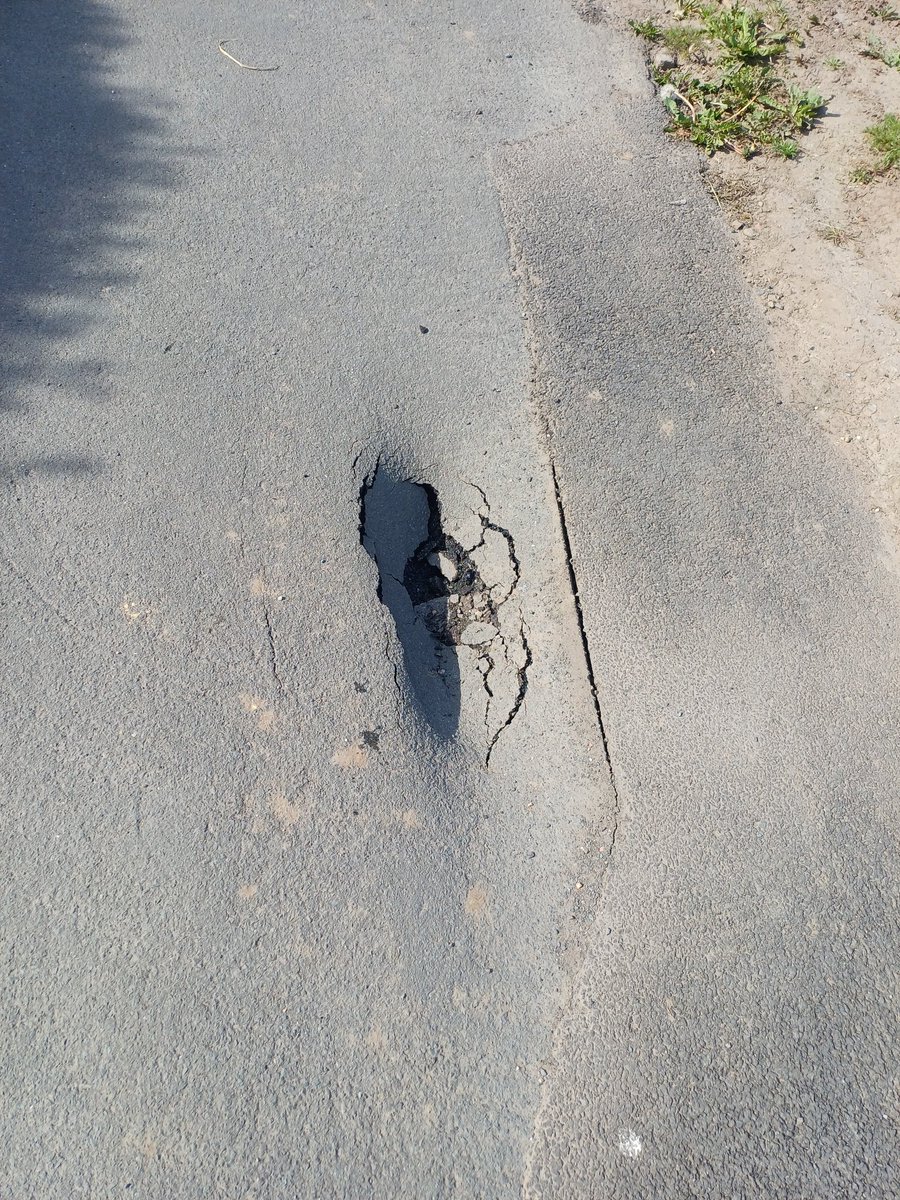 Heather 💙 tweet media