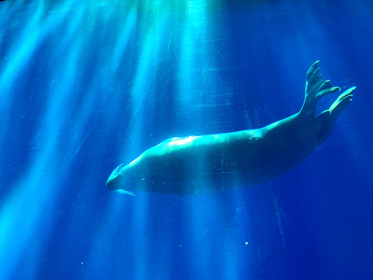 箱ぶみ tweet media