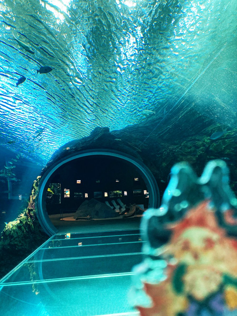 箱ぶみ tweet media