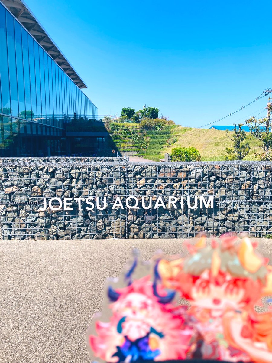 箱ぶみ tweet media