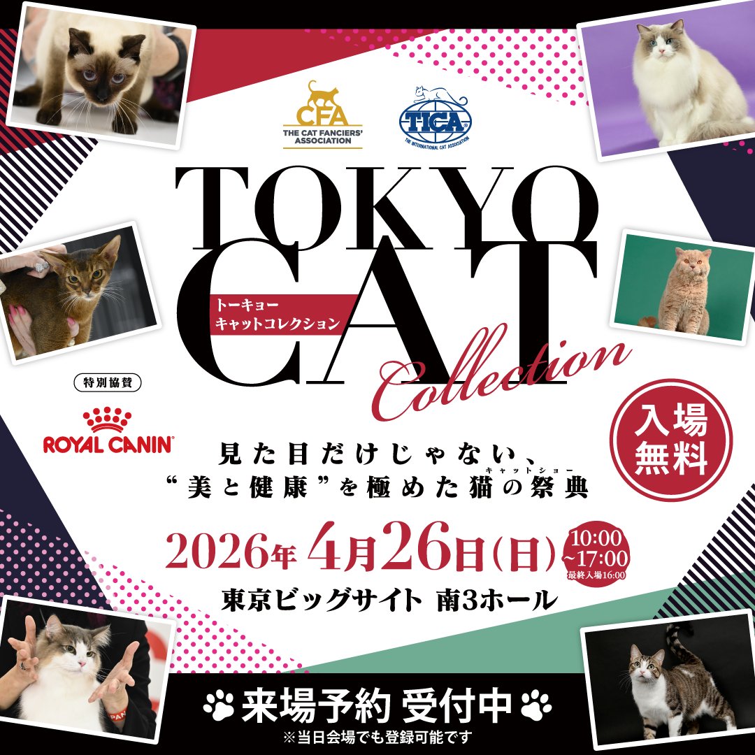 byoca_ginza's tweet photo. いよいよ明日！！
Tokyo CAT Collection😺♥
東京ビッグサイト 南3ホールです！

猫花は今年も
装花を担当させていただいております🌿

そしてmamu-taとBonita＆Zondaの売り子で
1日お店におります🌼
今年はなんと！！入場料無料🐾

みんな！行くしかにゃい！！
#tokyocatcollection #tcc #猫雑貨 https://t.co/QW6ckZ6yQG
