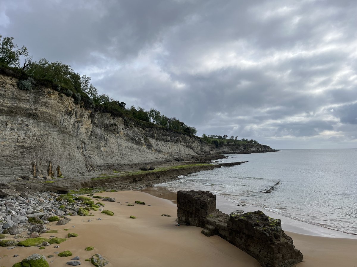 Berna_Colsa_Lloreda tweet media