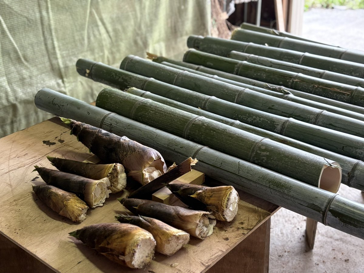 あんよし　あいラジパーソナリティ月曜日12時〜、16時〜、日曜日10時〜 tweet media