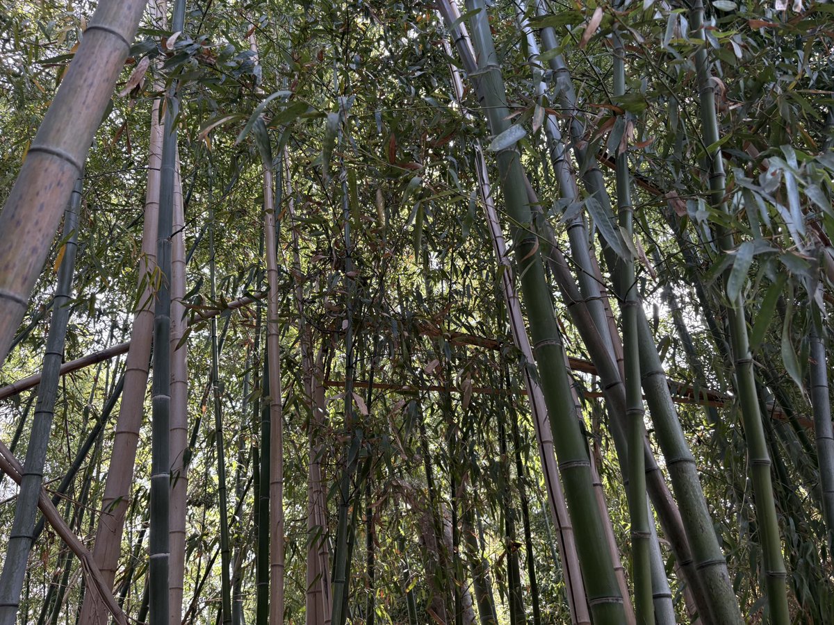 あんよし　あいラジパーソナリティ月曜日12時〜、16時〜、日曜日10時〜 tweet media