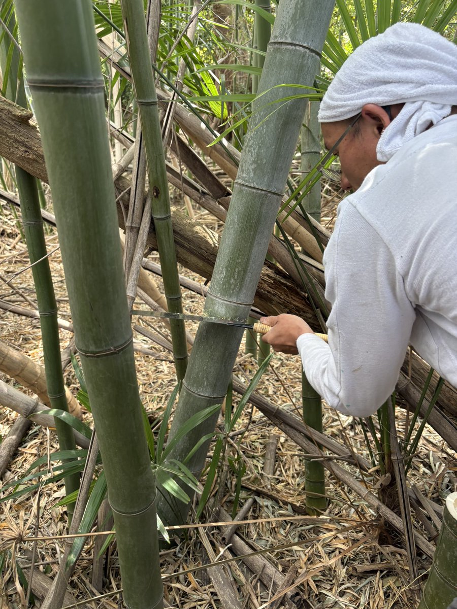 あんよし　あいラジパーソナリティ月曜日12時〜、16時〜、日曜日10時〜 tweet media