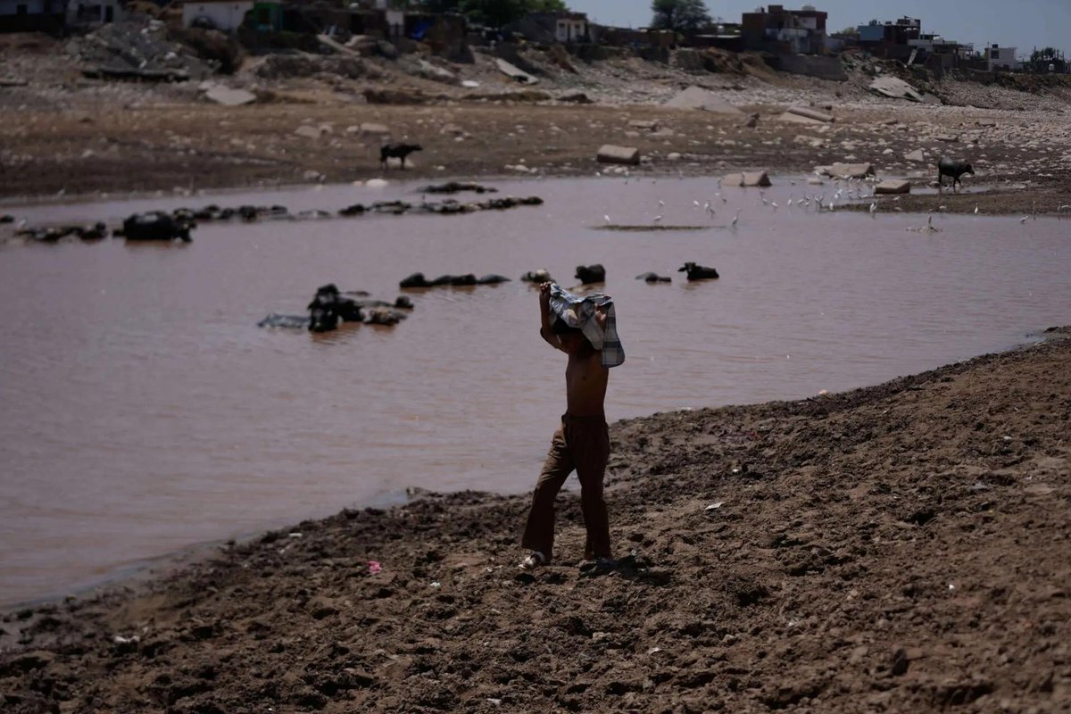 timesofindia's tweet image. #InPics | Boys herd buffaloes towards the River Tawi on a hot summer day in Jammu, capturing a glimpse of life during India’s scorching summer season. 

#IndiaSummer #Jammu #RiverTawi