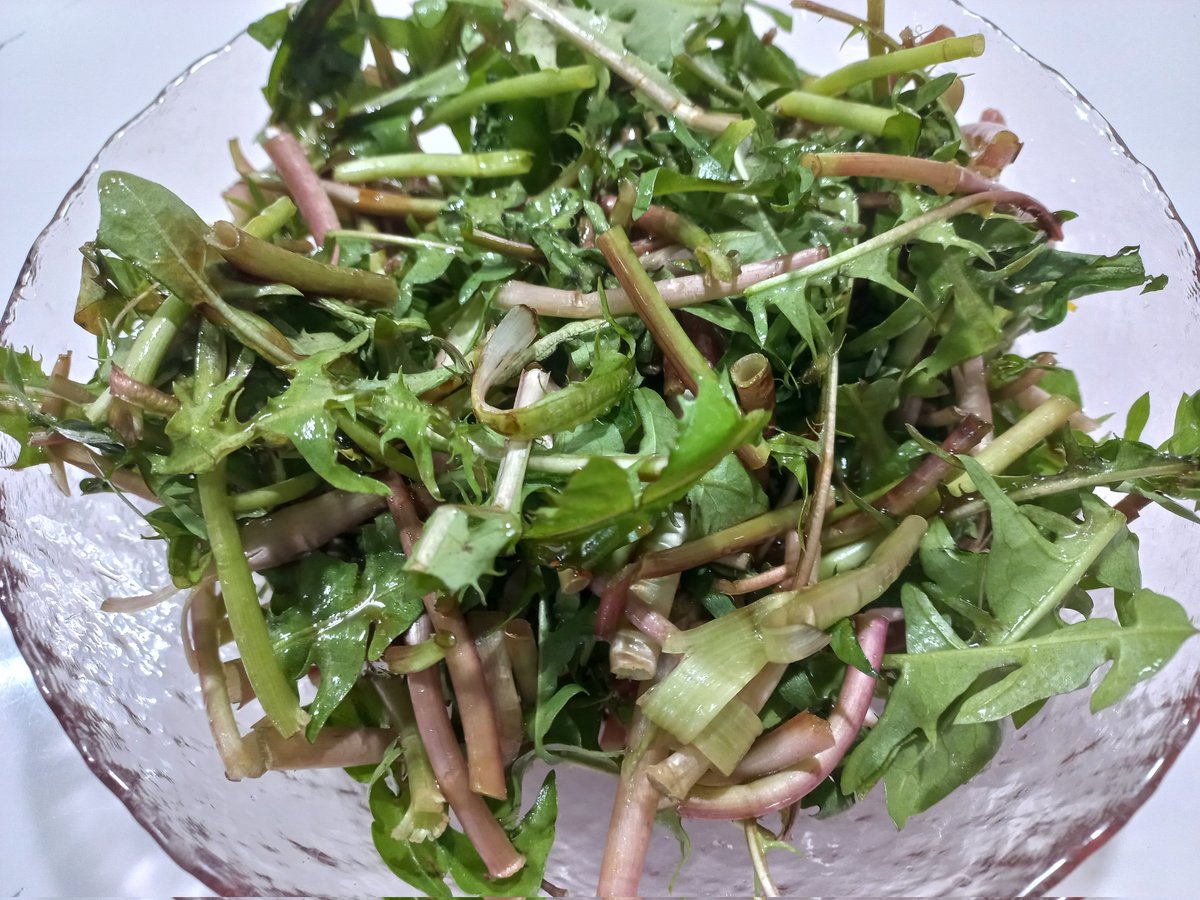 WinningTrader tweet media