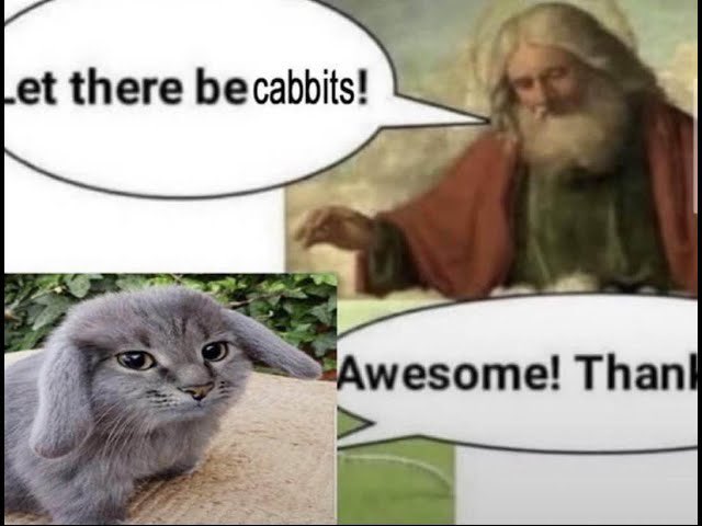 <a href="/egonkula/">egonk</a>