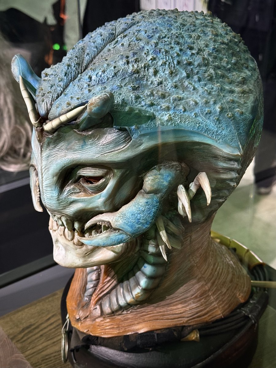 溶けろ。 tweet media