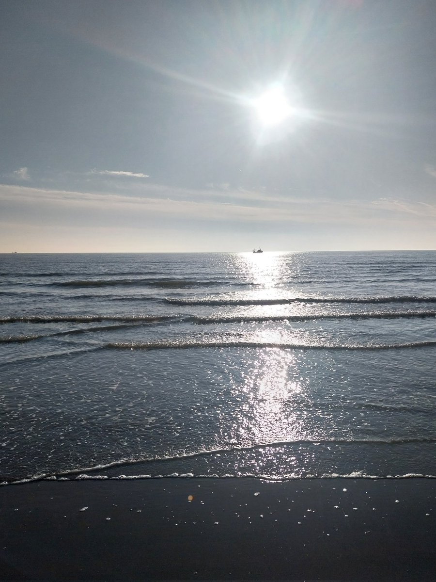 JimOFlahertyy's tweet photo. Christened in a spindrift of snowdrop stars,
where on pink-fluted feet the pigeons pass
and jonquils sprout like solomon's metaphors,
my love and I go garlanded with grass.

Again we are deluded and infer
that somehow we are younger than we were.
S Plath #Portmarnock https://t.co/Kg62n3dDBQ