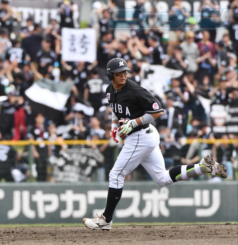 星夏穂【日刊スポーツロッテ担当】 tweet media