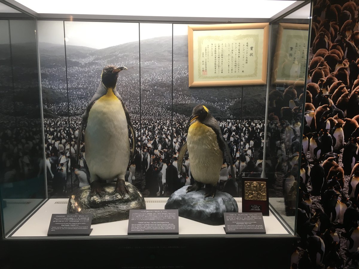 Blackbuck tweet media