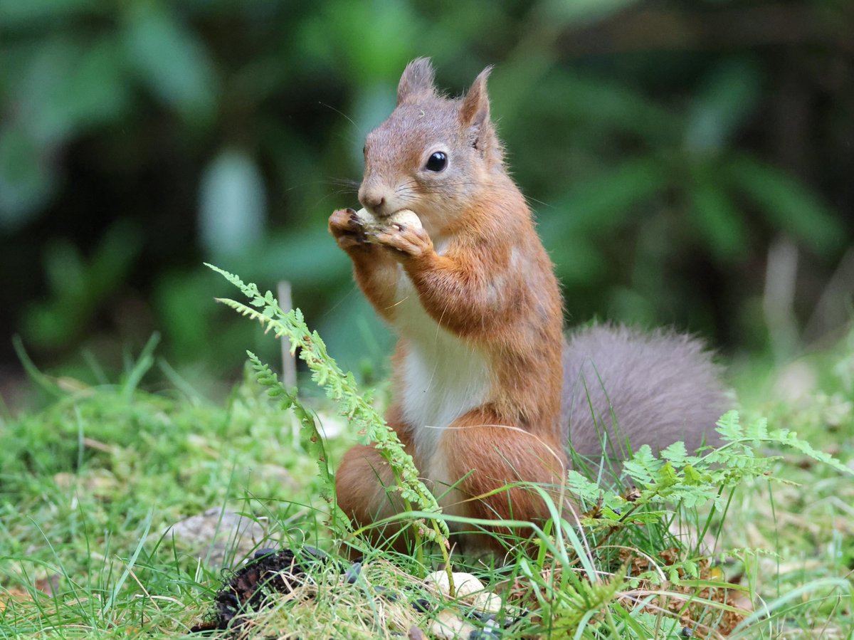 Trebor 1456 tweet media