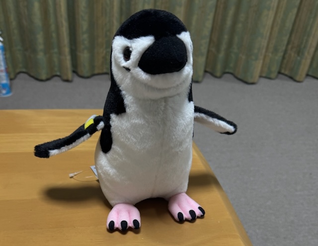 今日（4/25)は #世界ペンギンの日 なんだそうで。
今年の一時帰国では久しぶりに水族館に出かけて、ペンギンのぬいぐるみを買ってきた。
これまで水族館などのショップでぬいぐるみって（捨てる時に困るから）買う気にならなかったのに、今回はぬいぐるみに一目惚れ。