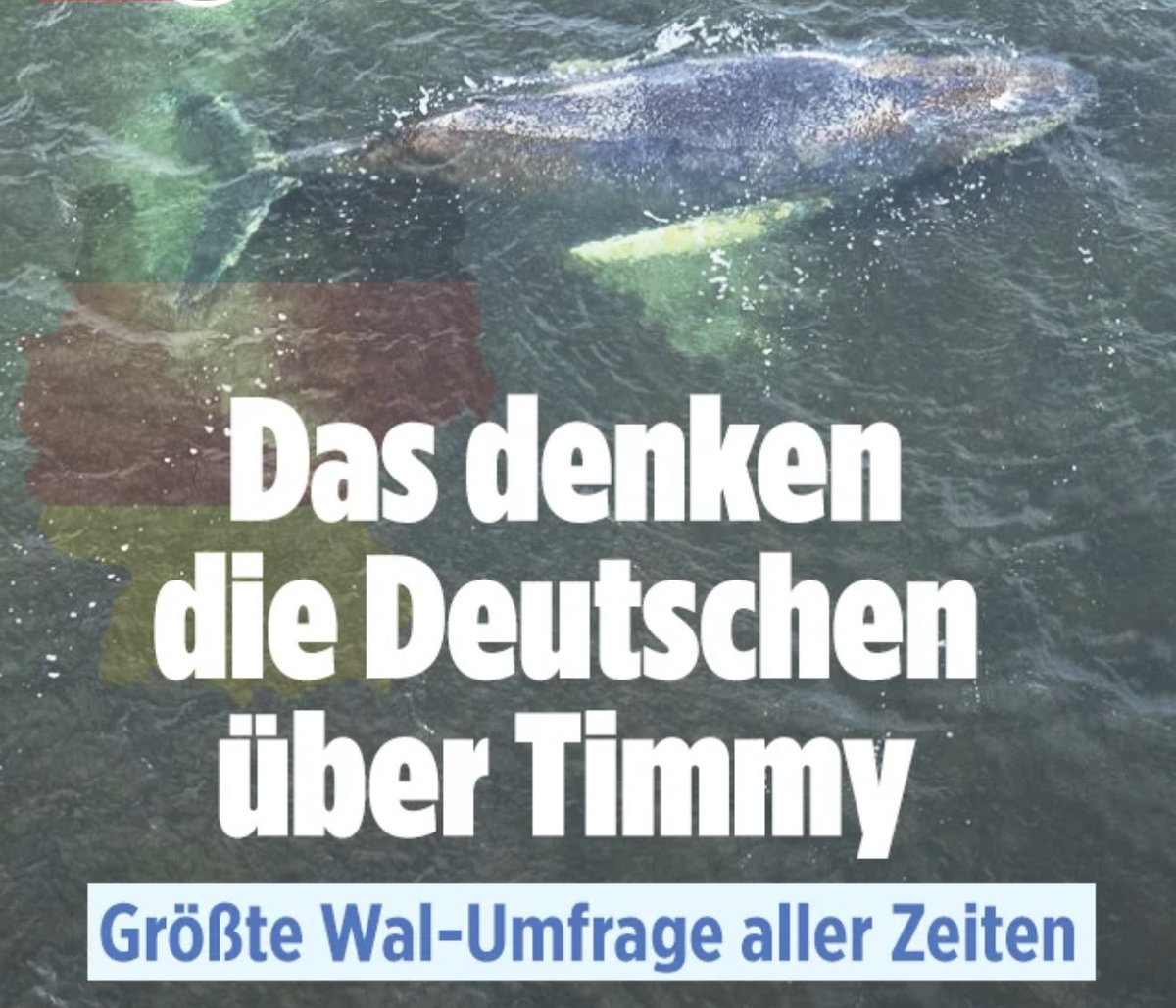 marc friedrich tweet media