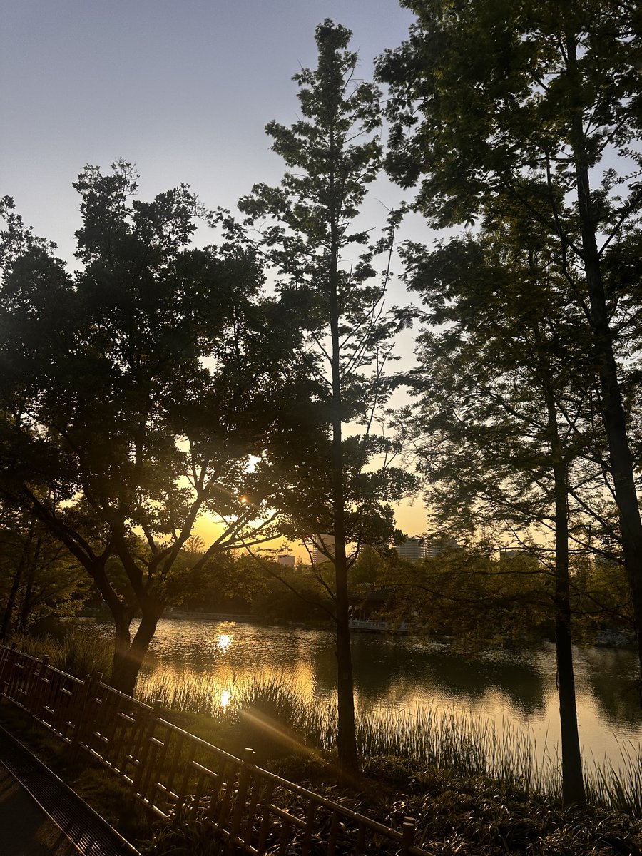 Ultra Evolve-Han tweet media