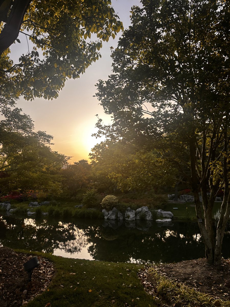 Ultra Evolve-Han tweet media