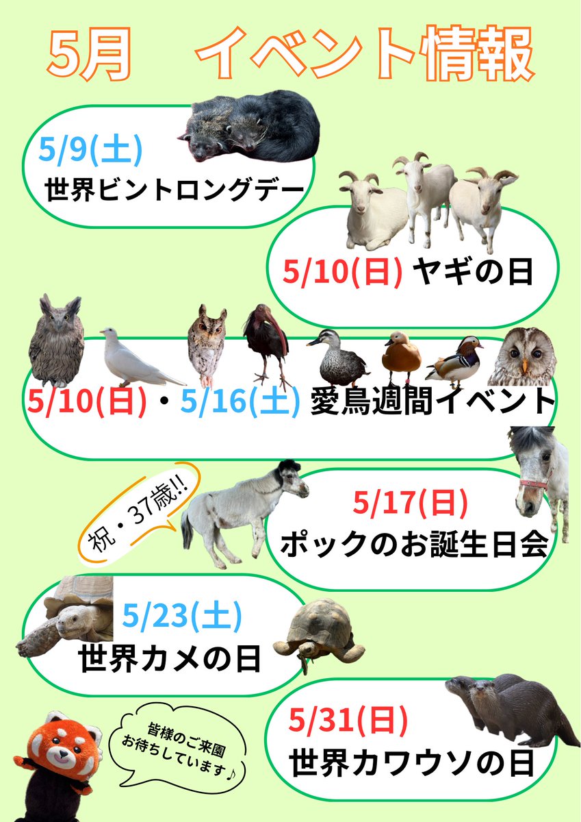 長野市茶臼山動物園【公式】 on X: 