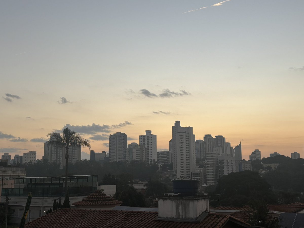 Carcamano tweet media