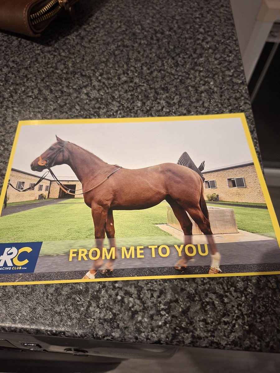 DanHorses2's tweet image. From Me To You has his 2nd run today at #Leicester in 1.30 

Hopefully he behaves before race, if he does hhe should go very well, heres hoping for a better run today 

Safe Return Buddy 🏇🐴💙 

@Joeleavy05 
@rhannonracing 

@LeicesterRaces 

@Racingclubvip