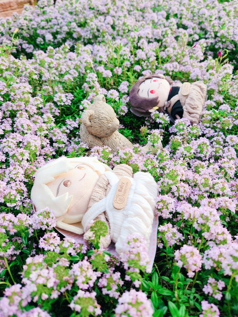 いちか tweet media