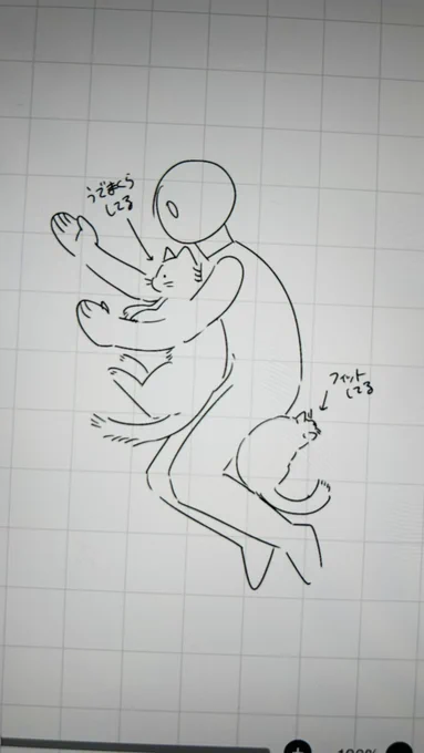 最近の寝る時の体勢これ 