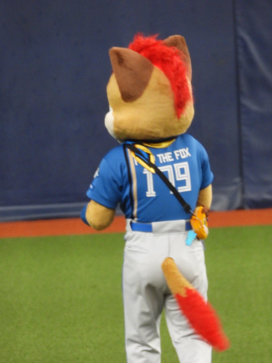 きなこもち⚾️ tweet media