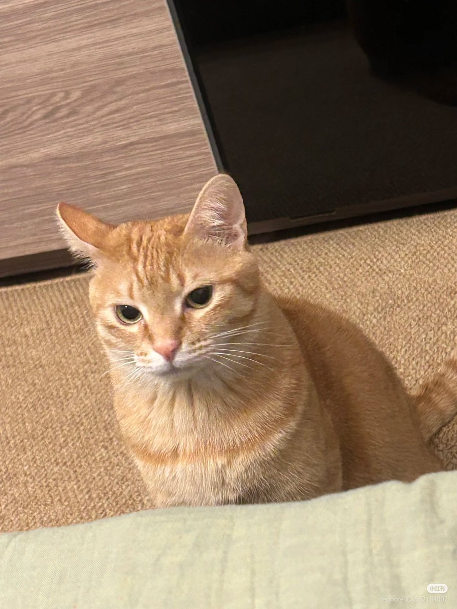 Dr.Yenyen tweet media