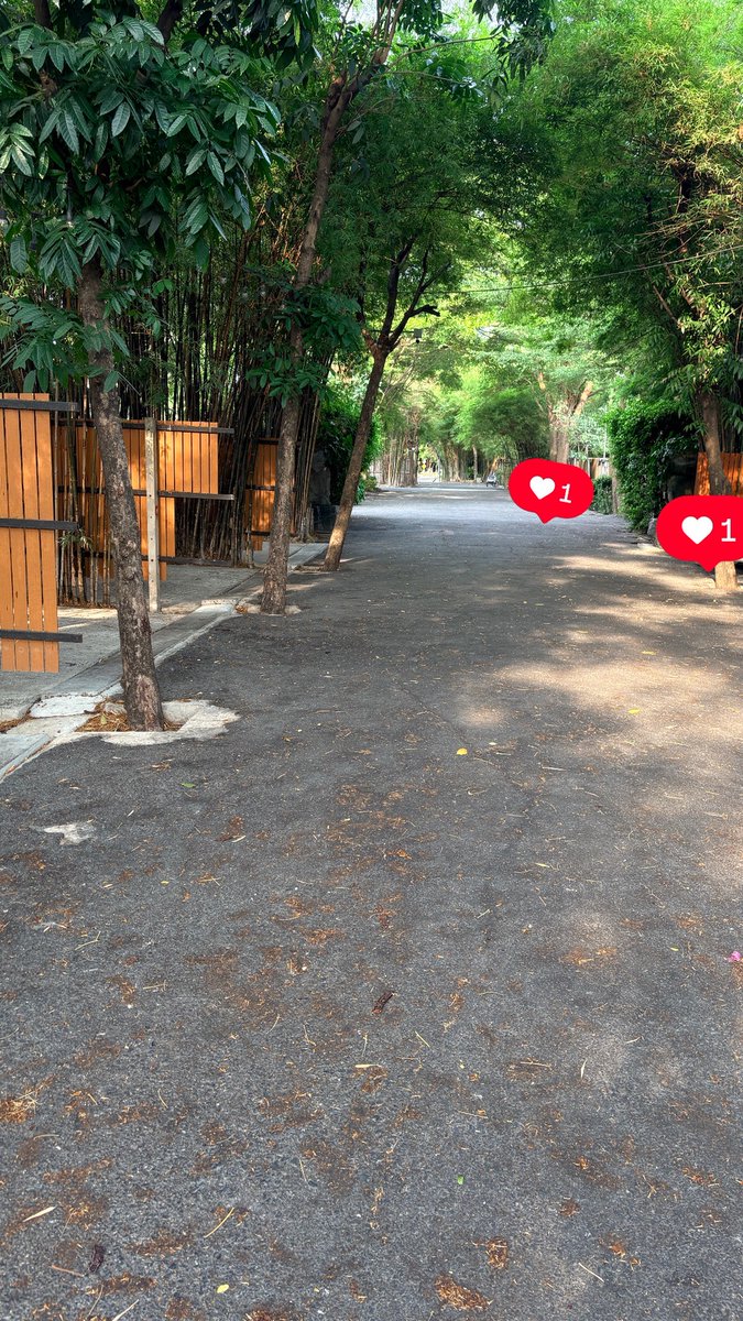 จารุเดช สมาคมผู้จัดการ tweet media