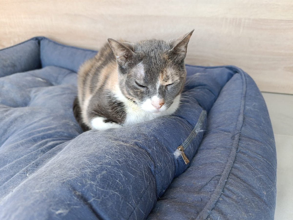 Arca de Noe Córdoba tweet media