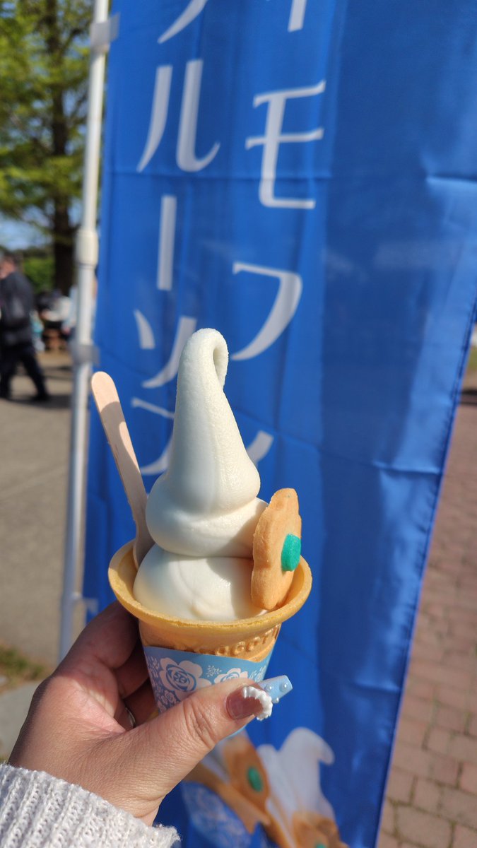 ねこ なの ひとり旅（YouTubeやってるよ） tweet media