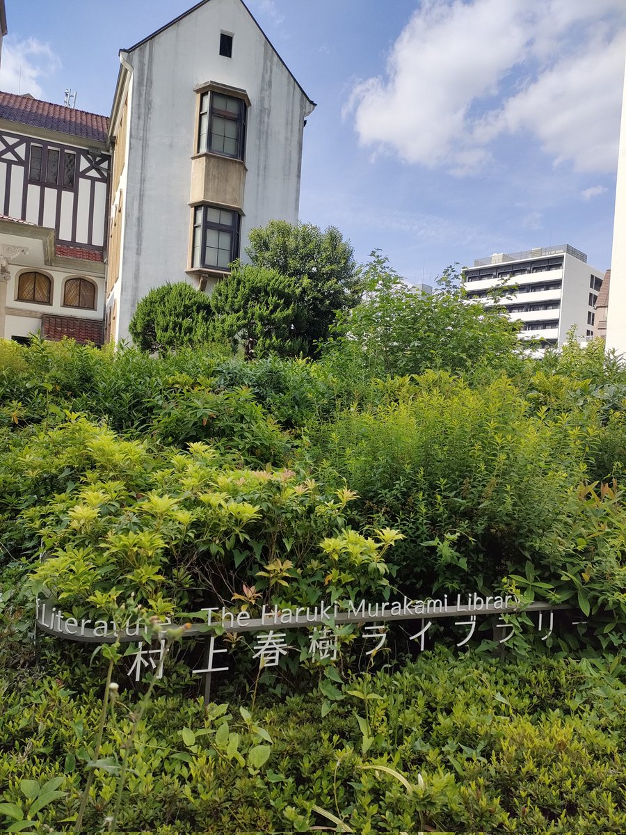 HHenehene's tweet photo. 2026.4.25.
村上春樹さん新刊発売のニュースが嬉しくて早稲田大学国際文学館 村上春樹ライブラリーへ。高揚。建物も本も音楽も人もコーヒーも空間も素晴らしかった。「カンガルー日和」を久しぶりに読んだ。帰りのチャリで聞いたことないメロディーの鼻歌を歌っていた。どうもありがとうございました💐 https://t.co/KRRpzLMnCN