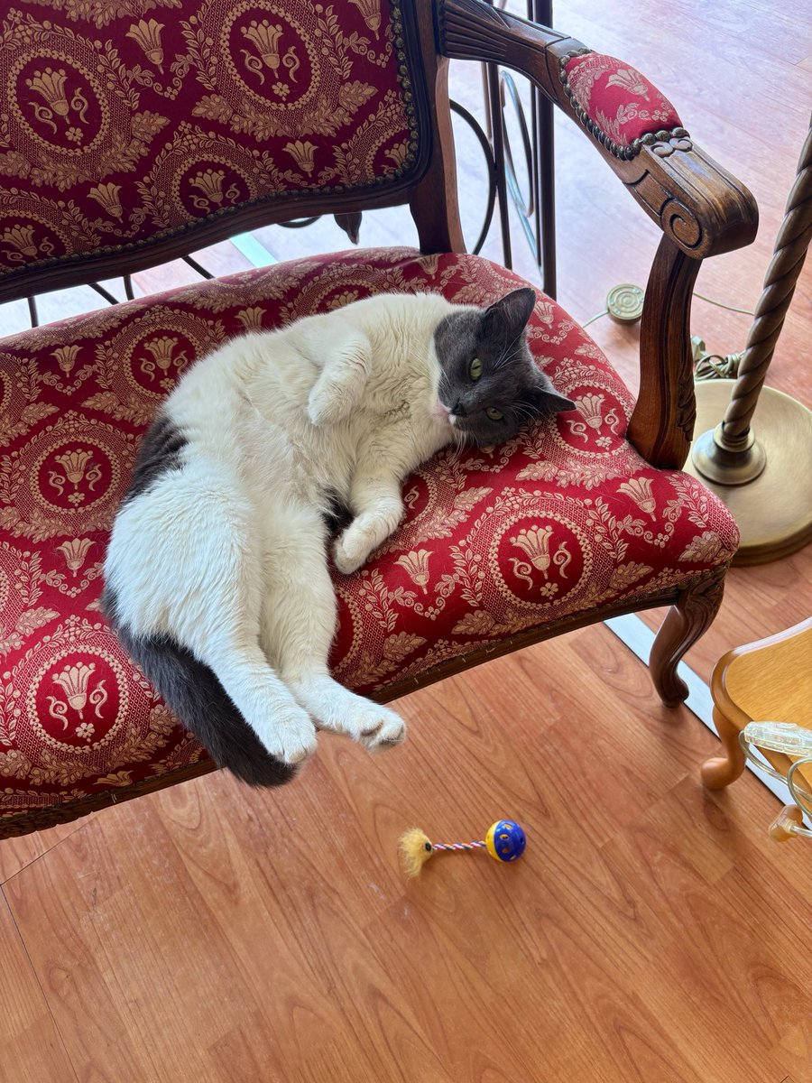 Yiannis Bavelas tweet media