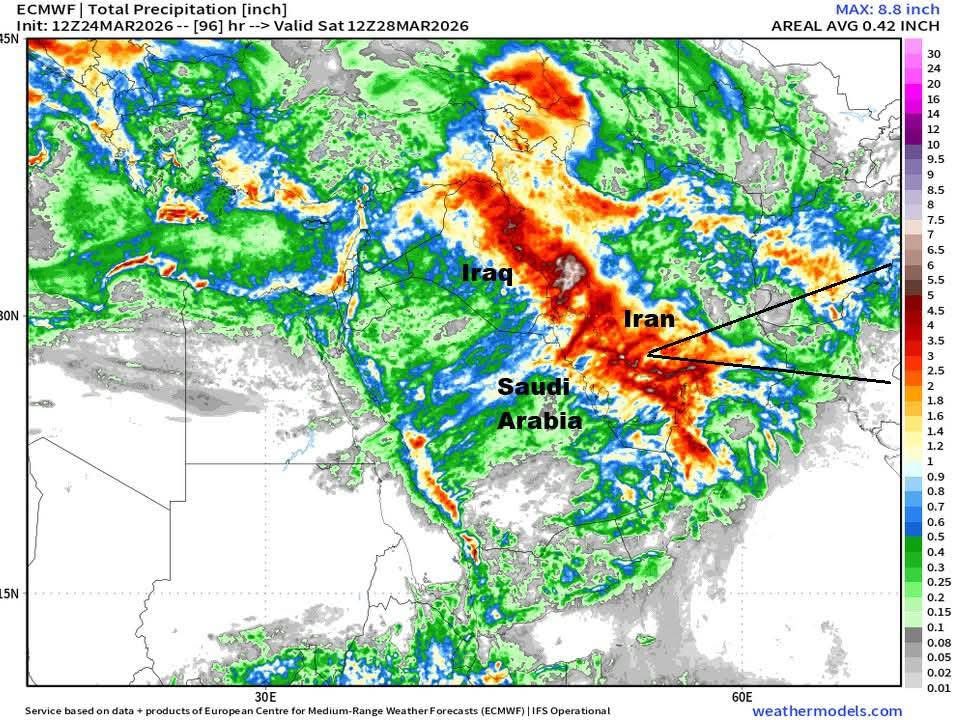 🛑 mocking the PEOPLE tweet media