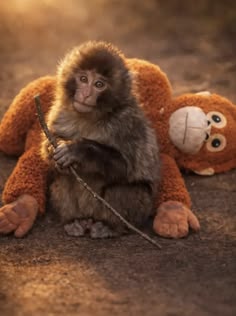 vivaneil tweet media