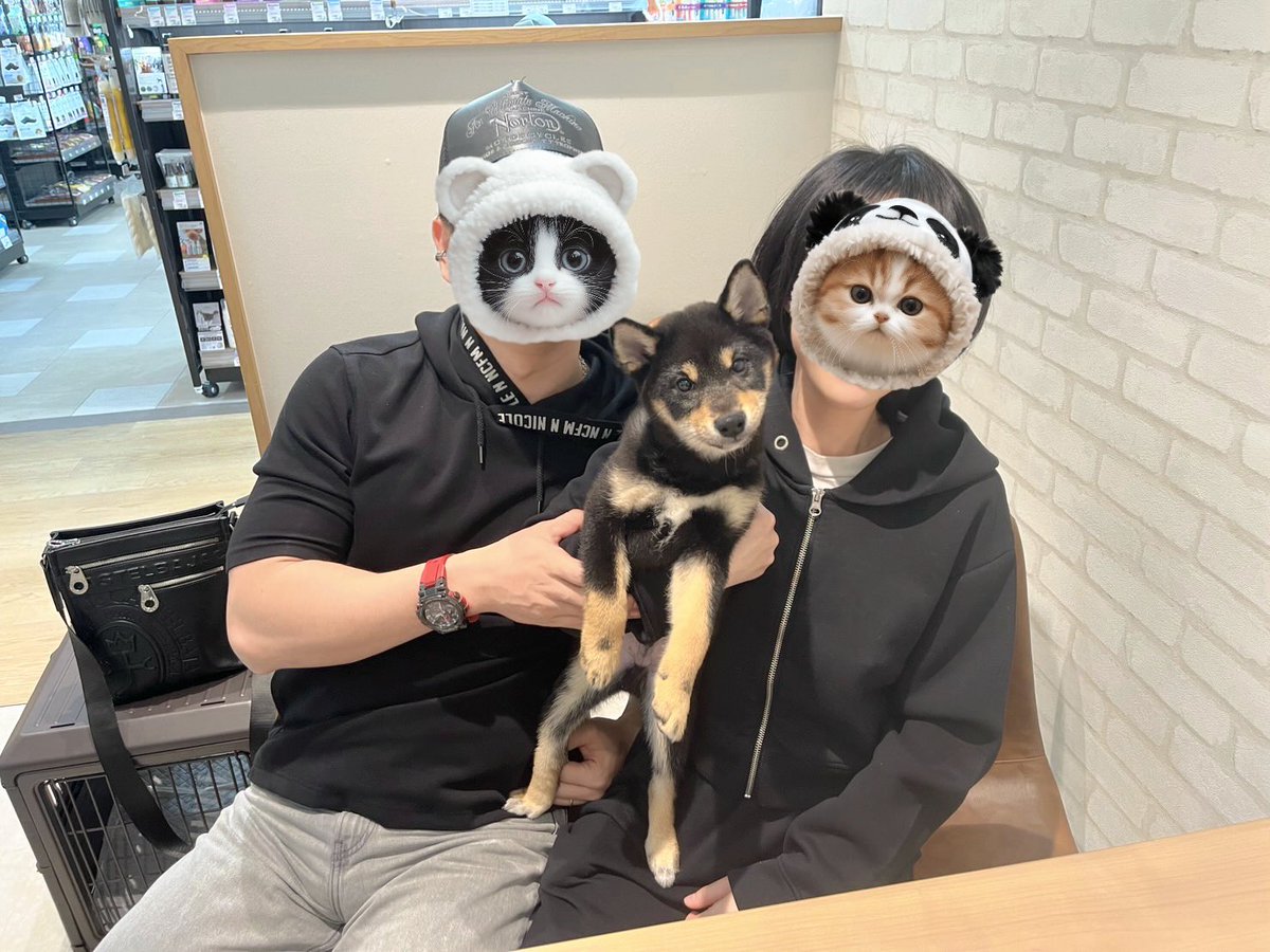 flying1129's tweet photo. 我が家に家族が増えました！
名前はレオンと言います🐕 https://t.co/UGTdkCtw9N