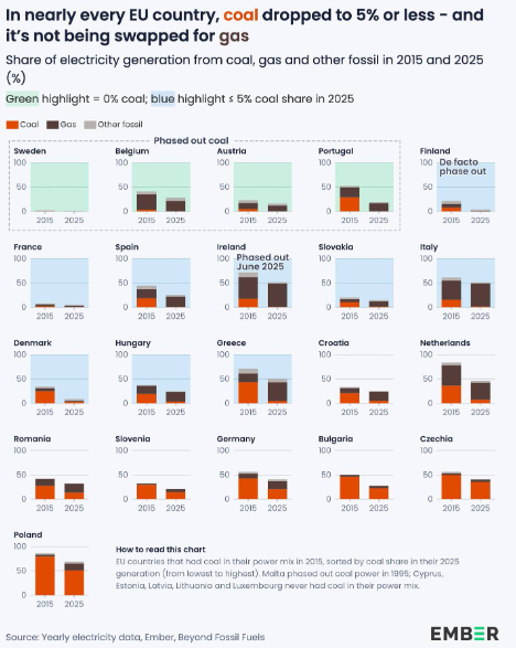 Dame Más Datos tweet media