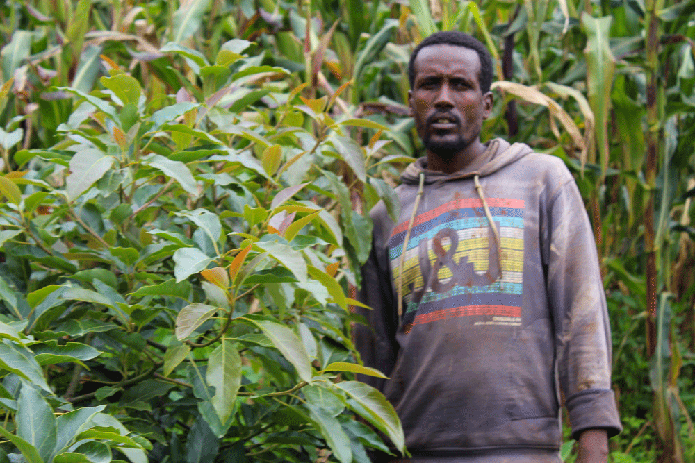 ECFF_09's tweet photo. From Bare Hands to Bountiful Harvest

Berehe transformed his farm with climate smart agriculture earning 65,000ETB and helping 14 others grow sustainably.

See his farm transformation:
https://t.co/QLzex47gzu

#FUTURESProject #CAREEthiopia #ECFF #ODA #KYRHDO #PackardFoundation https://t.co/HMh9YJEmOu