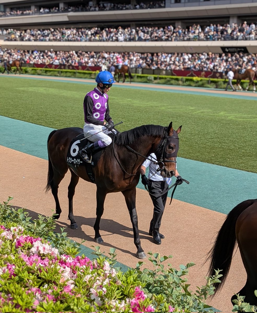 おとうふ tweet media