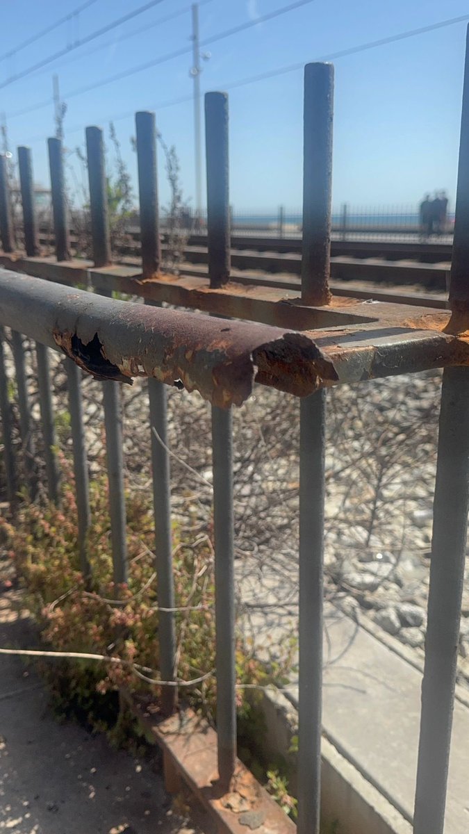 Cristina Agüera tweet media