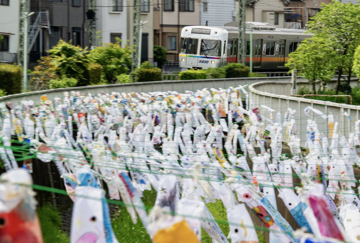 きりしま tweet media