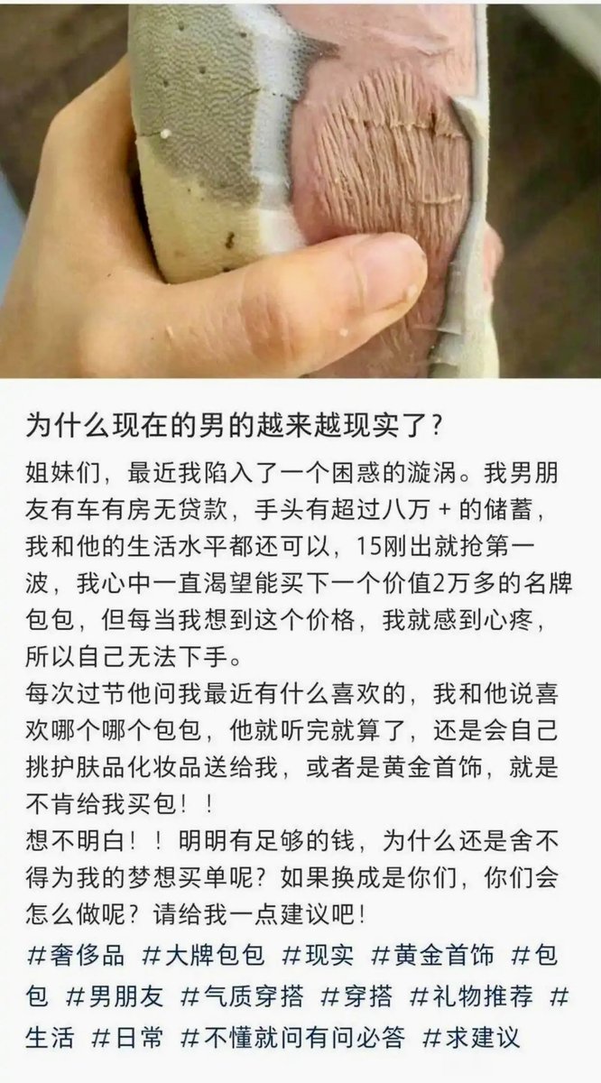 翅翅膀喵 tweet media