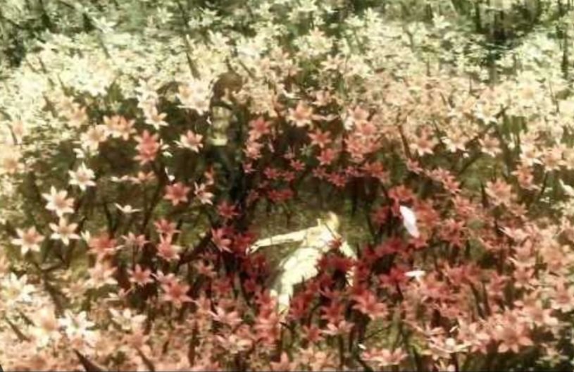 DavidWillows3's tweet photo. That moment, the white speads turning to red..... https://t.co/4R5gVjMPC6