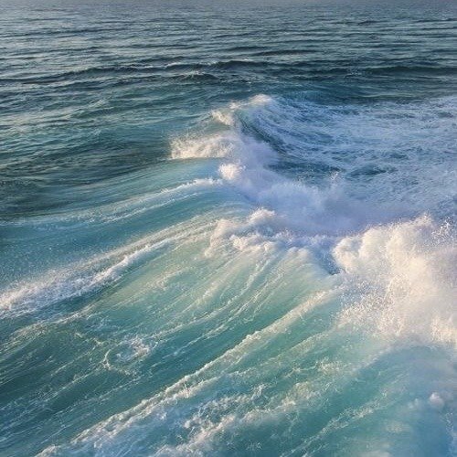 𝑝𝑢𝑟𝑒 tweet media