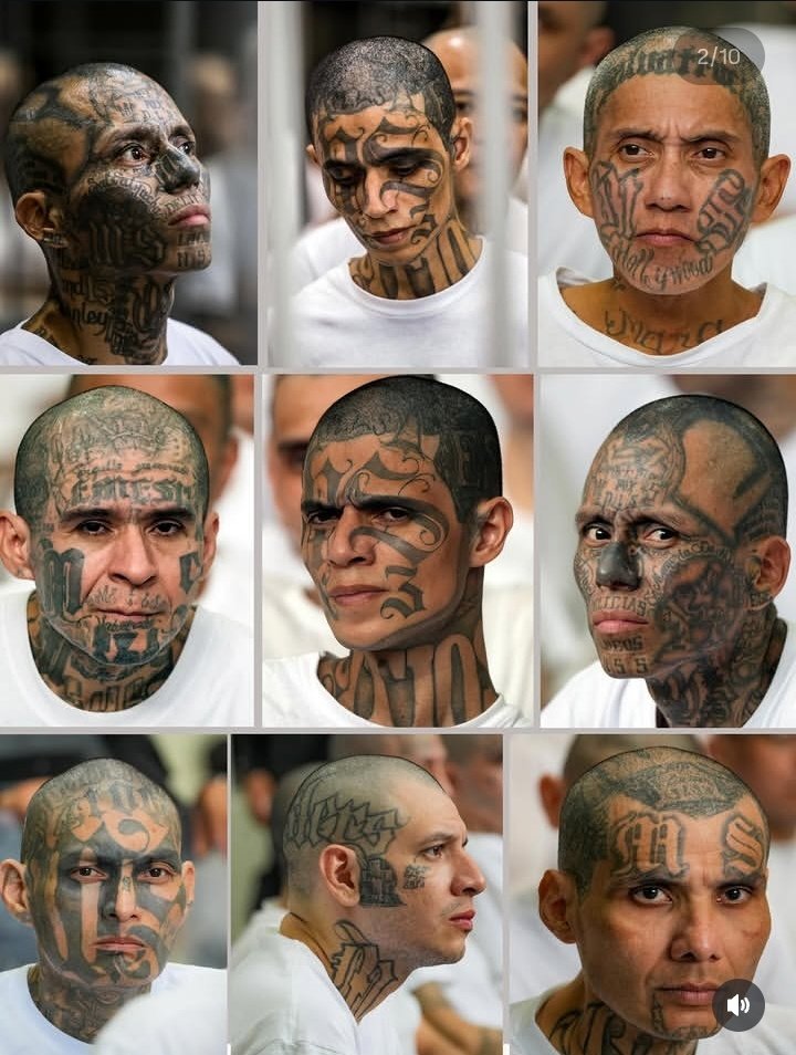 Mwinshehe 🕊️ tweet media