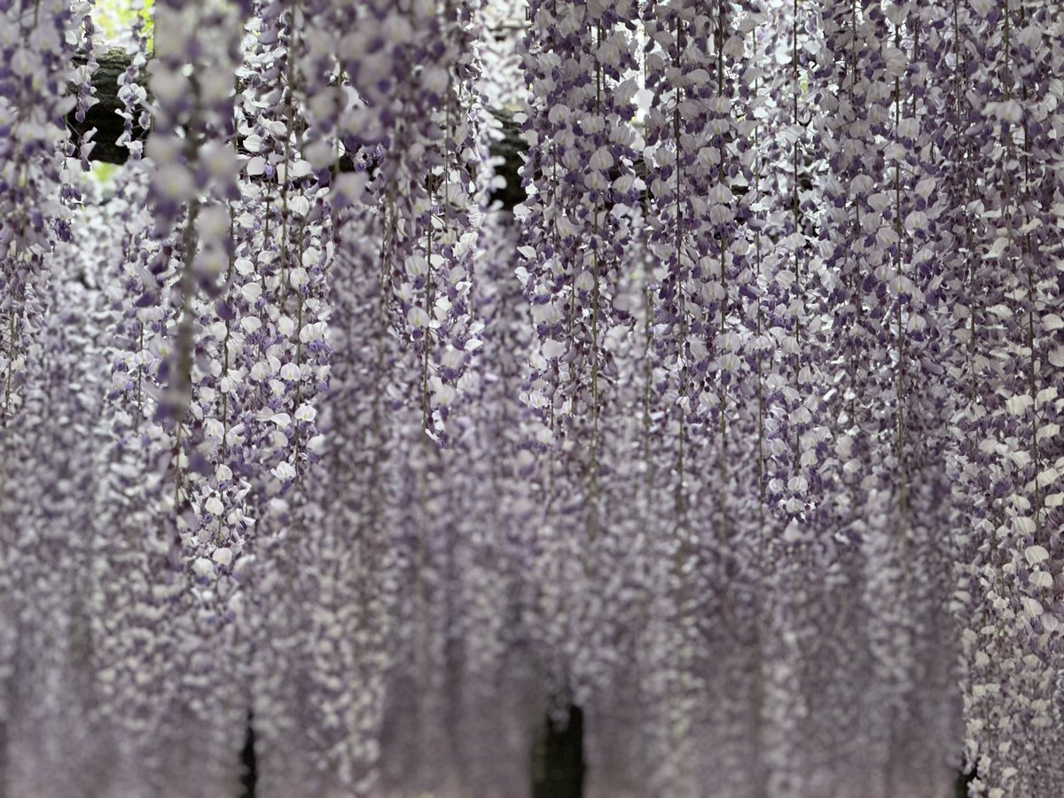 ゆら🚘23🚂25 tweet media